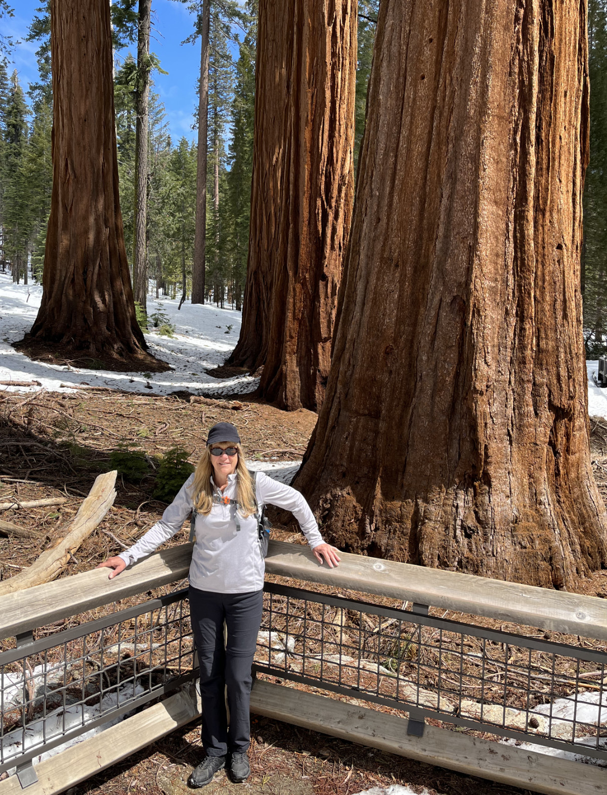 Kathy in Sequoias