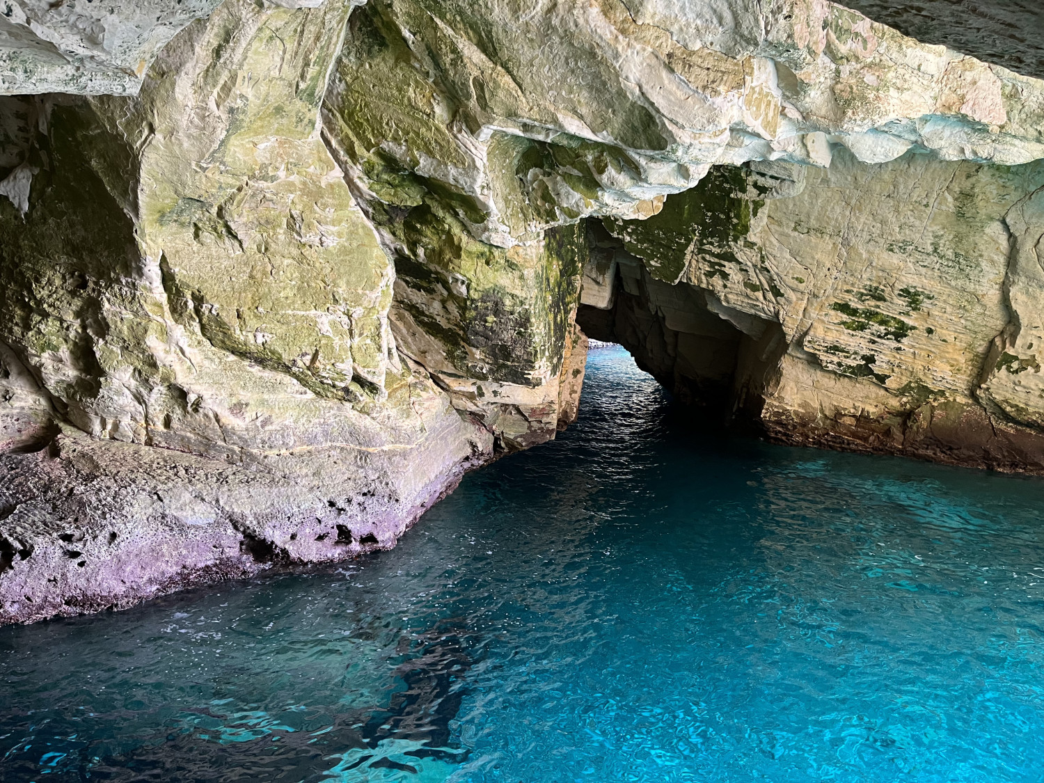 Grottos 1