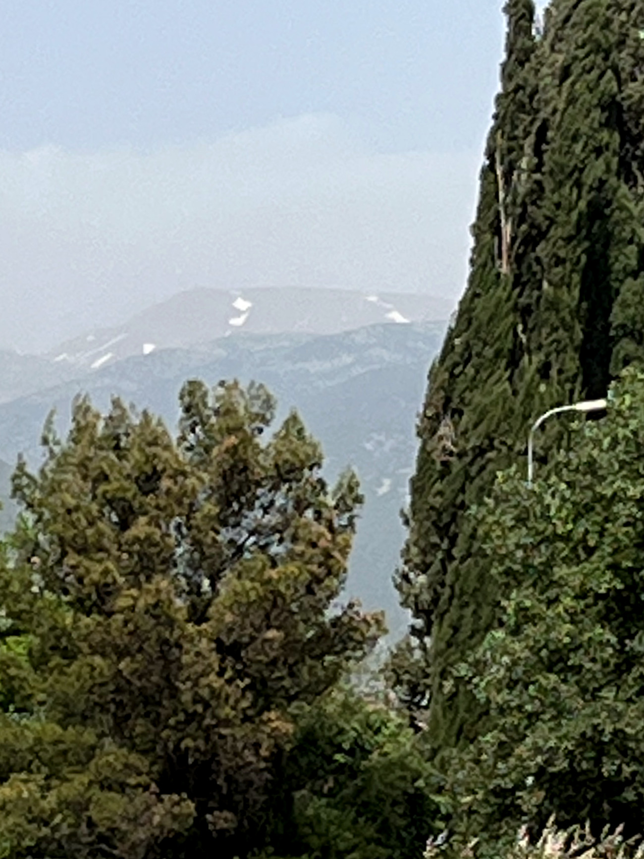Mt. Herman