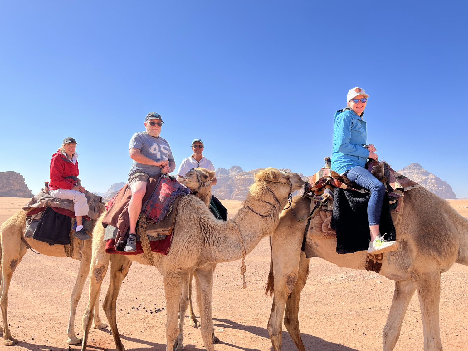 All 4 on camels